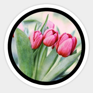 Twilight Tulips Sticker